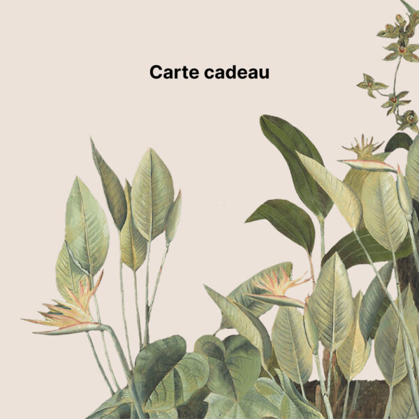 Carte Cadeau à partir de 25€